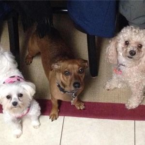 Meet your Posher, Debbie